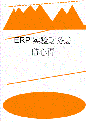 ERP实验财务总监心得(3页).doc