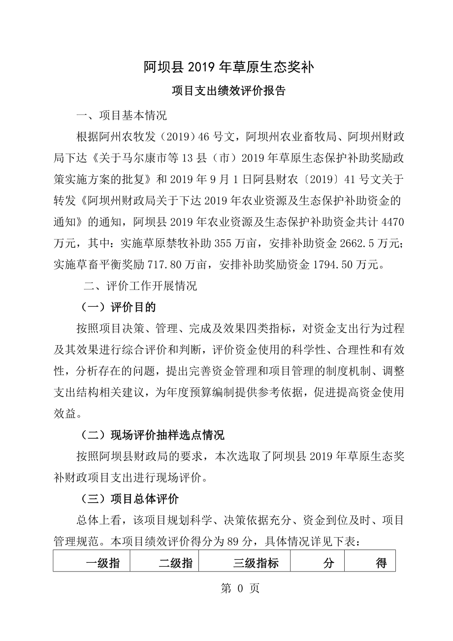 项目绩效评价报告1.doc_第1页