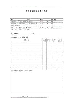 新员工试用期工作计划表(2页).doc