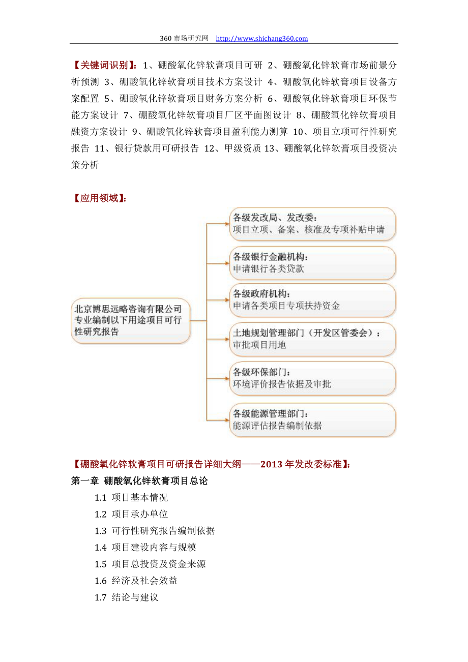 硼酸氧化锌软膏项目可行性研究报告评审方案设计(2013年发改委立项详细标准+甲级案例范文).docx_第2页