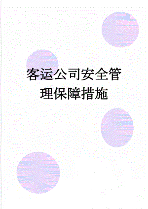 客运公司安全管理保障措施(7页).doc