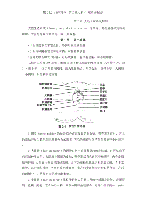 第9版 妇产科学 第二章女性生殖系统解剖.doc