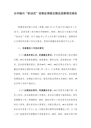 乡村振兴“机动式”巡察反馈意见整改进展情况报告.docx