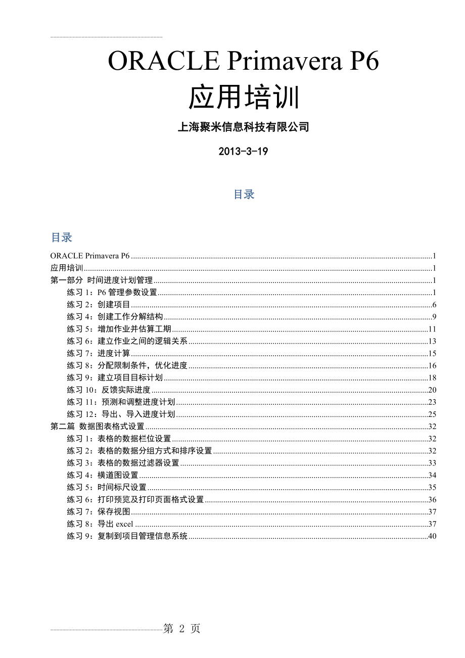 P6应用使用手册(11页).doc_第2页