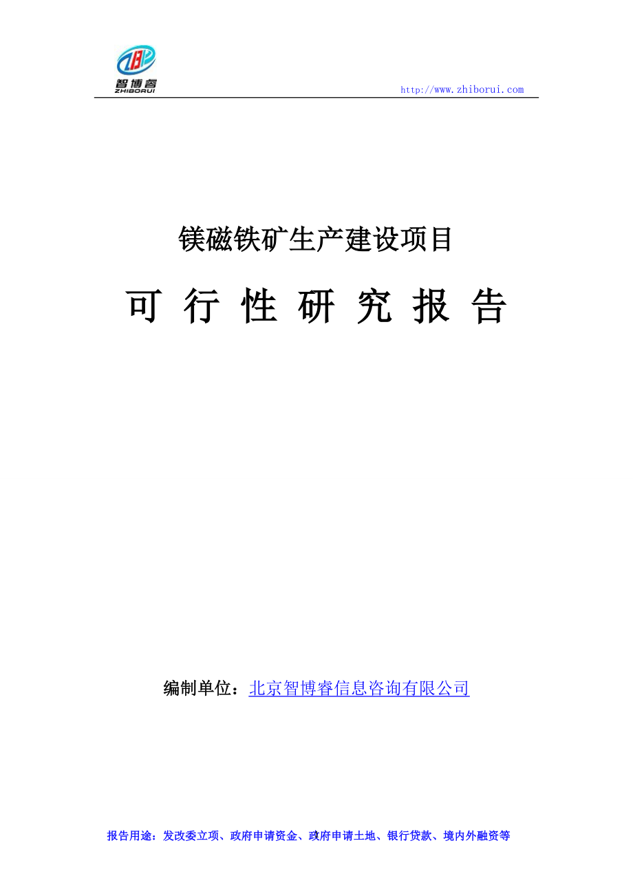 镁磁铁矿生产建设项目可行性研究报告.doc_第1页