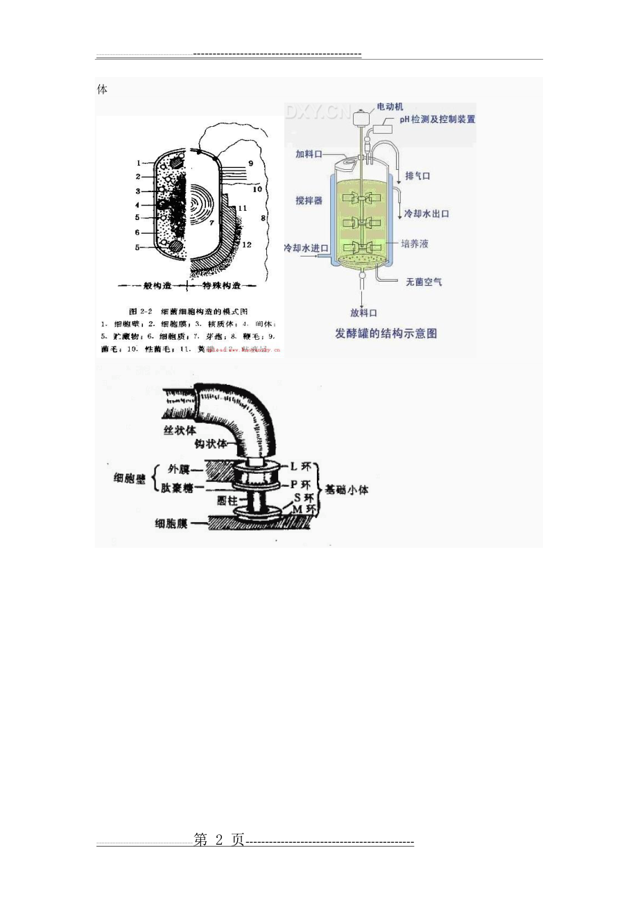 微生物学(2页).doc_第2页