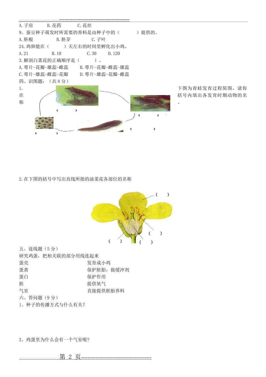 新教科版小学科学四年级下册第二单元检测卷参考答案(5页).doc_第2页