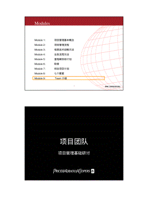 TEAM介绍.PDF