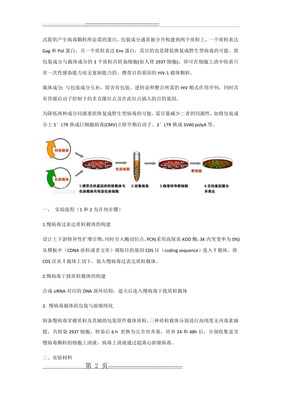 慢病毒载体包装构建过程(5页).doc_第2页