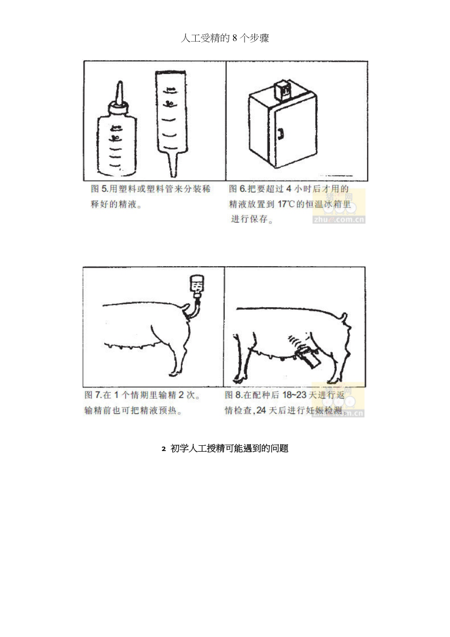 人工受精的8个步骤.doc_第2页