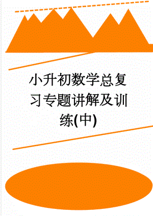 小升初数学总复习专题讲解及训练(中)(30页).doc