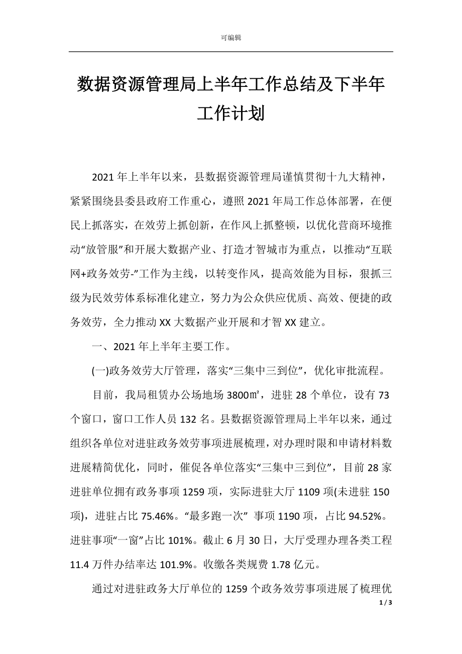 数据资源管理局上半年工作总结及下半年工作计划.docx_第1页