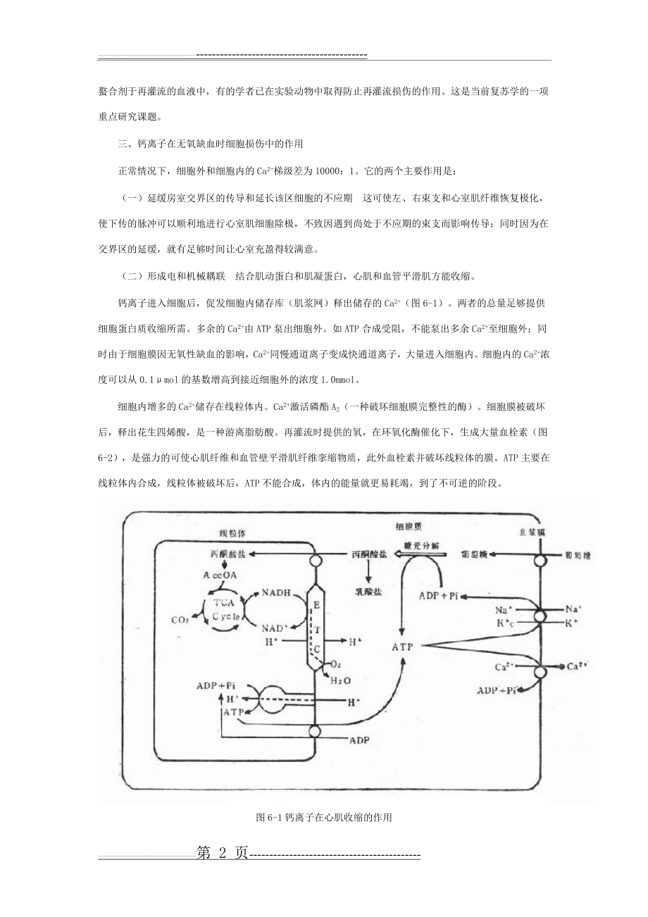 心脏骤停后的病理生理变化(4页).doc_第2页