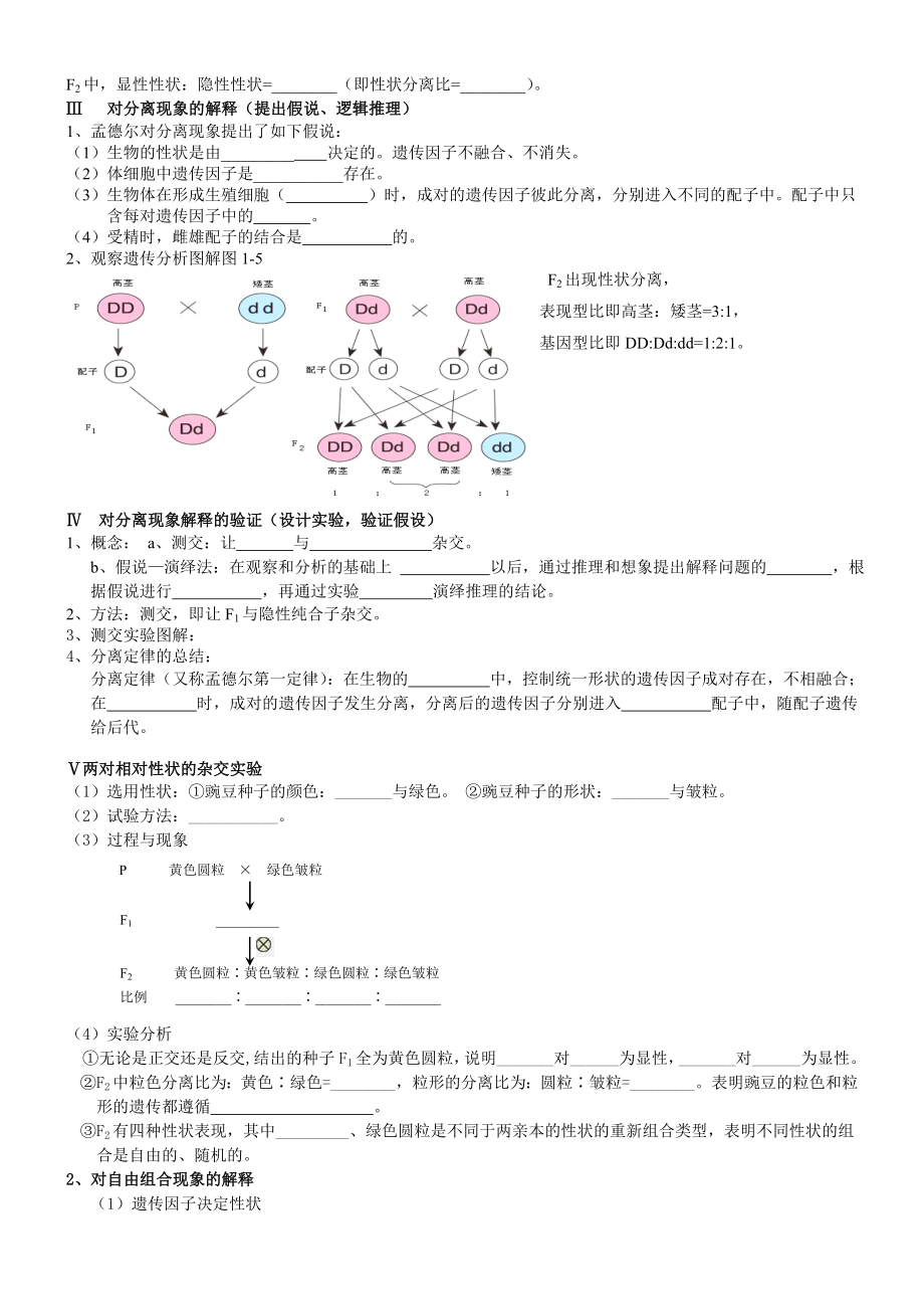 生物必修二第一章预学案.doc_第2页