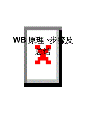 WB原理、步骤及总结(7页).doc