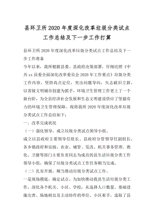 县环卫所2020年度深化改革垃圾分类试点工作总结及下一步工作打算.docx