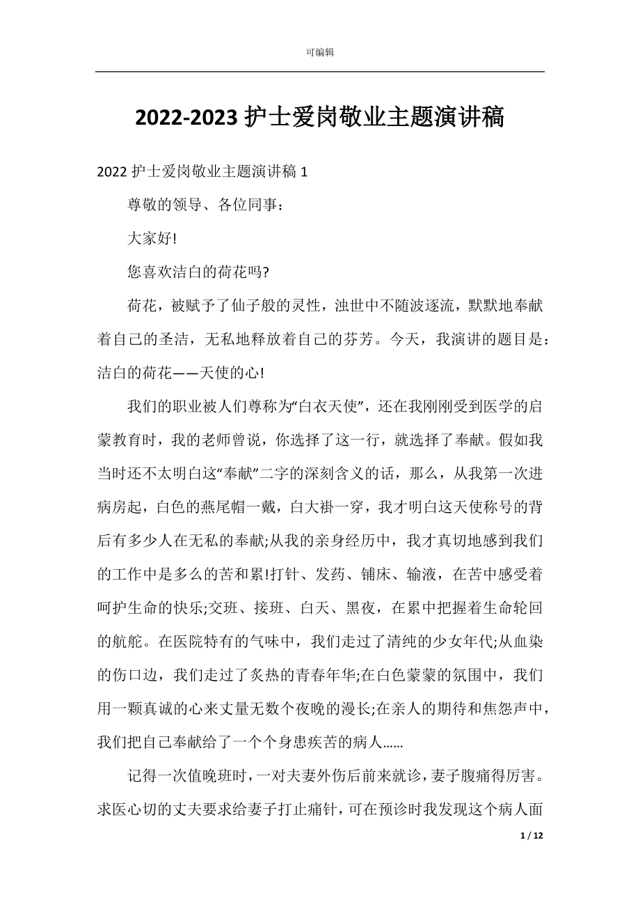 2022-2023护士爱岗敬业主题演讲稿.docx_第1页