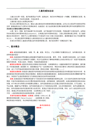 感知运动阶段详解(7页).doc