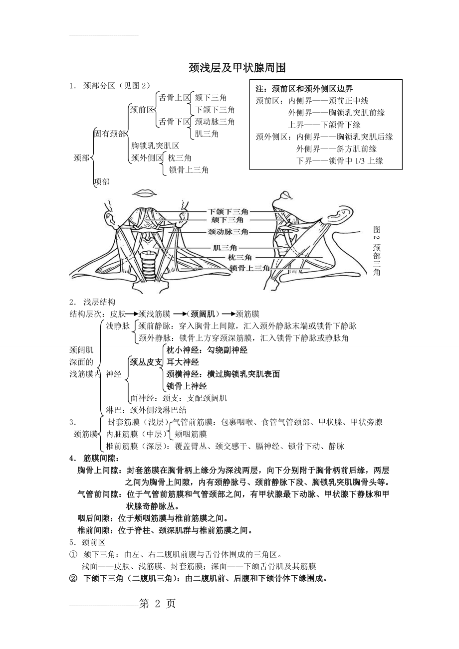 局部解剖学 重点 总结(31页).doc_第2页