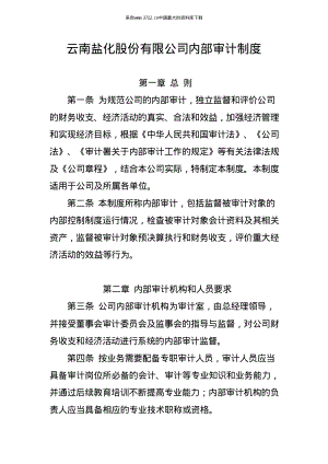 XX股份有限公司内部审计制度（制度范本、PDF格式）.PDF