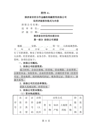 融资性担保公司评级报告模板[1].doc