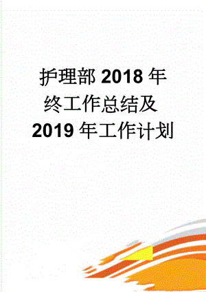 护理部2018年终工作总结及2019年工作计划(12页).doc