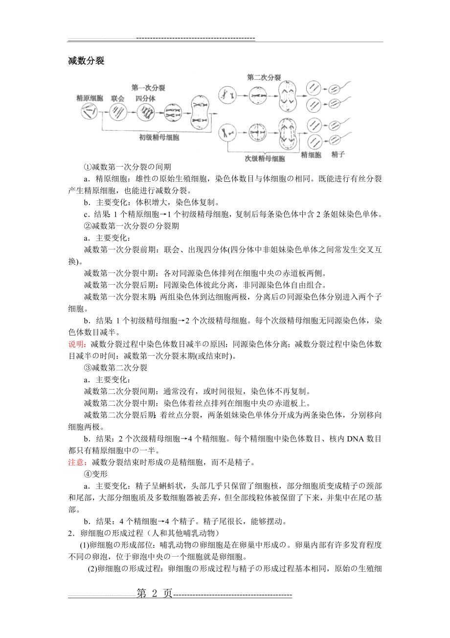 有丝分裂和减数分裂的过程和图像(10页).doc_第2页