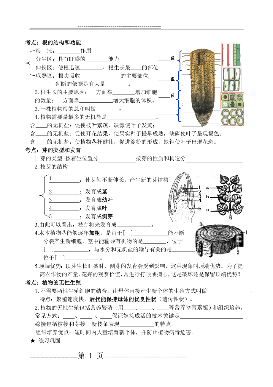 根的结构和功能芽的类型和发育(复习提纲加习题)(5页).doc_第1页