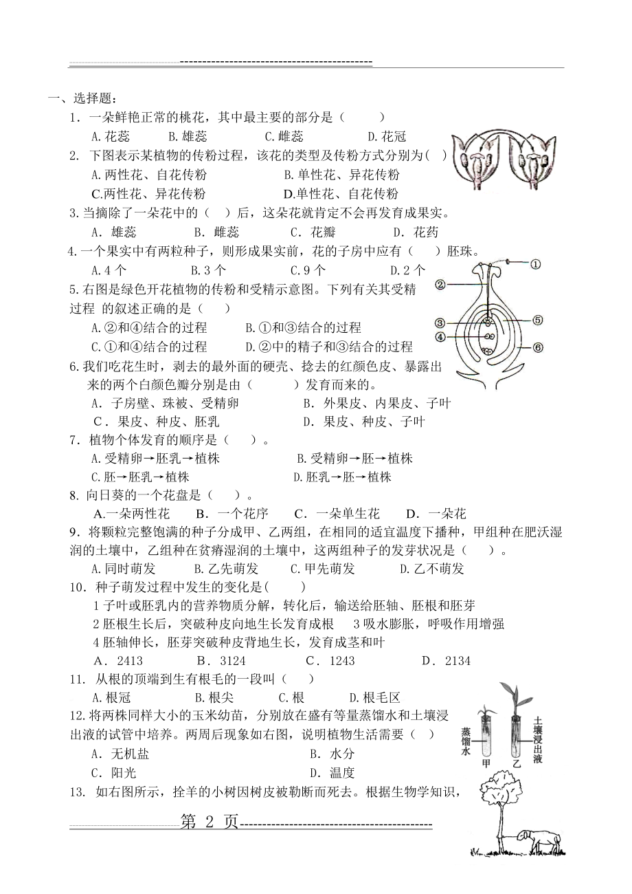 根的结构和功能芽的类型和发育(复习提纲加习题)(5页).doc_第2页