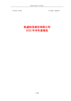 凯盛科技：2022年半年度报告全文.PDF