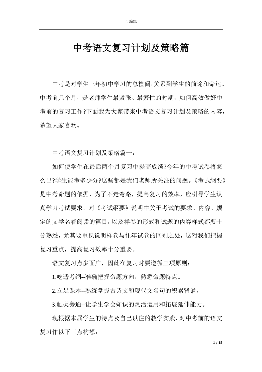 中考语文复习计划及策略篇.docx_第1页