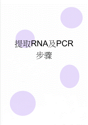 提取RNA及PCR步骤(4页).doc