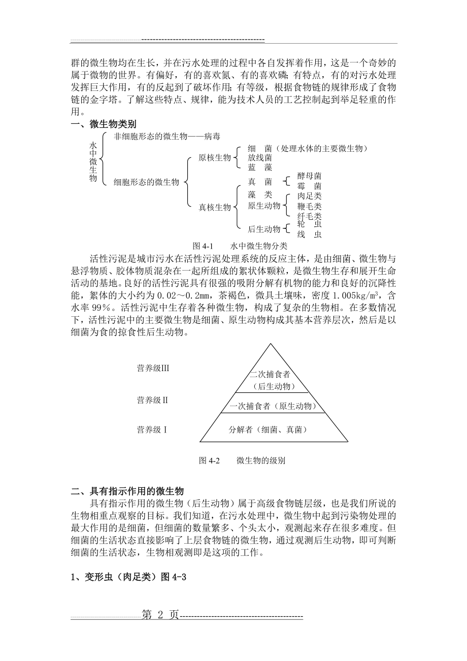 污水处理中的微生物原理(11页).doc_第2页