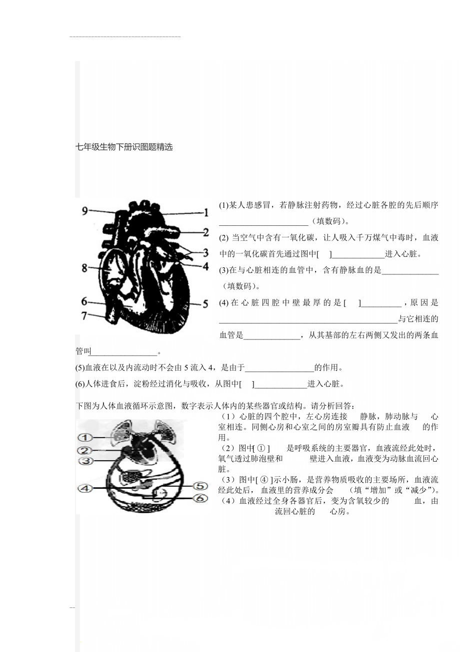 七年级生物下册识图题精选(7页).doc_第1页