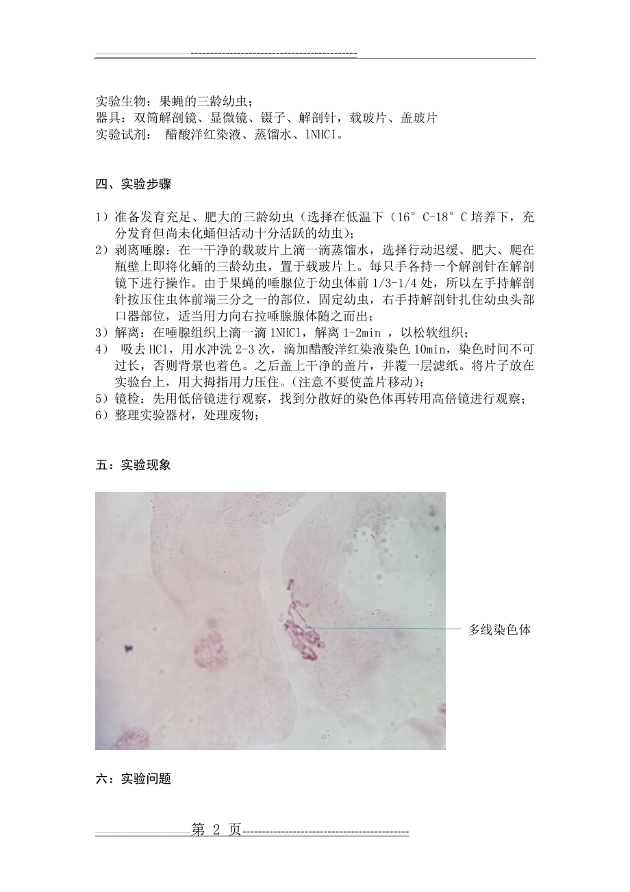 果蝇唾液腺染色体的观察(3页).doc_第2页