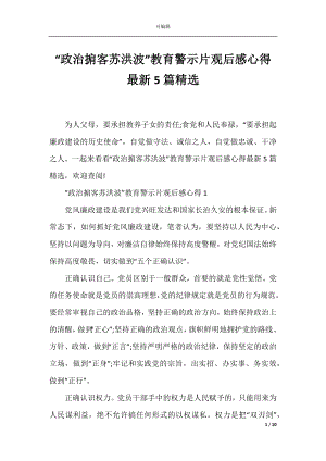 “政治掮客苏洪波”教育警示片观后感心得最新5篇精选.docx