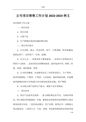 公司项目销售工作计划2022-2023例文.docx