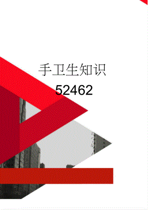 手卫生知识52462(2页).doc