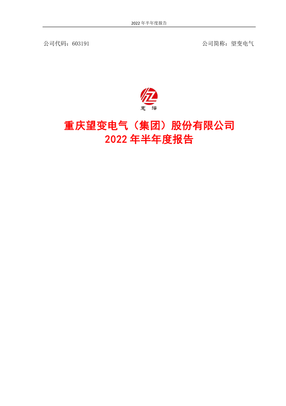 望变电气：望变电气2022年半年度报告.PDF_第1页