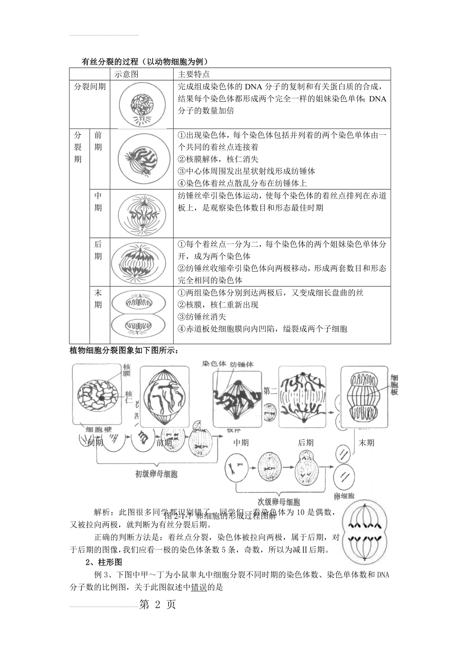 有丝分裂和减数分裂的过程和图像(3页).doc_第2页