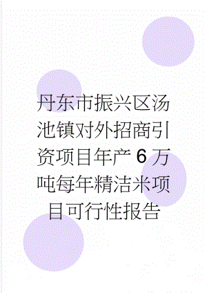 丹东市振兴区汤池镇对外招商引资项目年产6万吨每年精洁米项目可行性报告(21页).doc