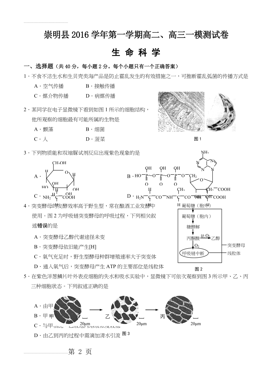 上海市崇明县高三上学期一模测试生命科学试卷及答案(10页).doc_第2页