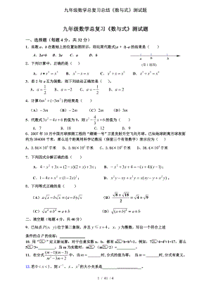 九年级数学总复习总结《数与式》测试题.doc