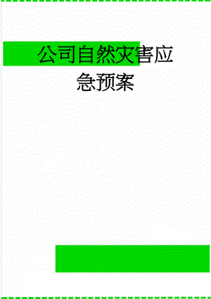 公司自然灾害应急预案(18页).doc