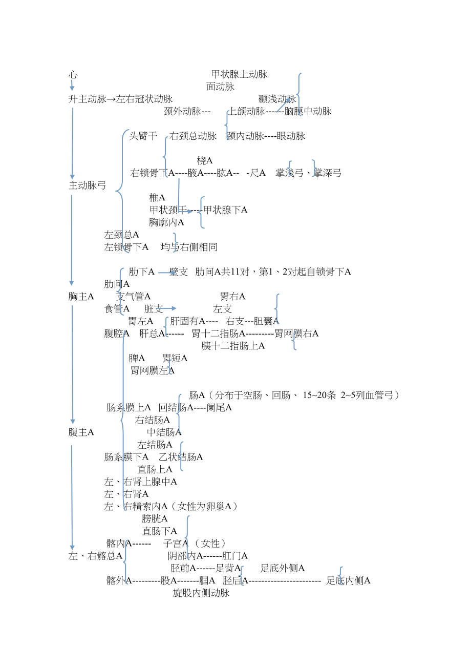 医学专题一人体全身动脉图.docx_第1页