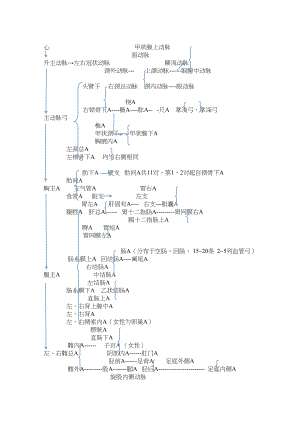 医学专题一人体全身动脉图.docx