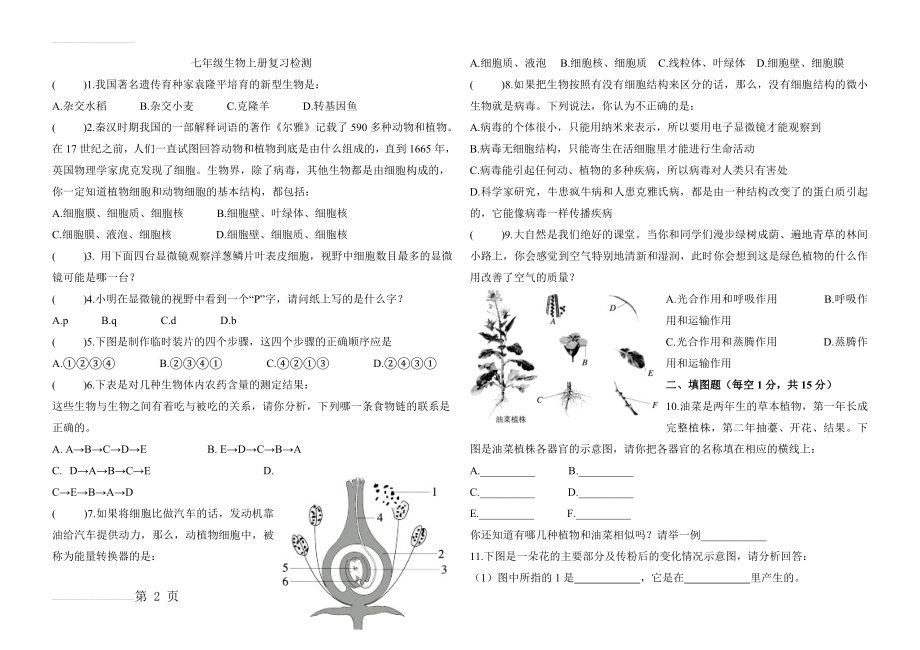 七年级生物上册复习检测(3页).doc_第2页