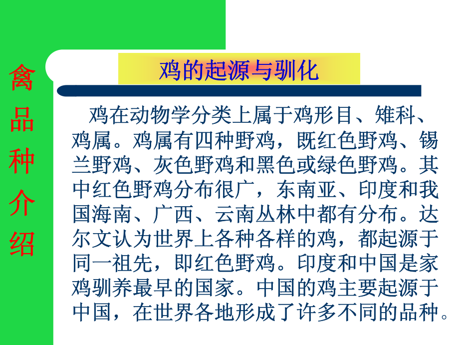 【鸡肉培训课件】鸡的品种图片(鸡品种简介).pdf_第2页