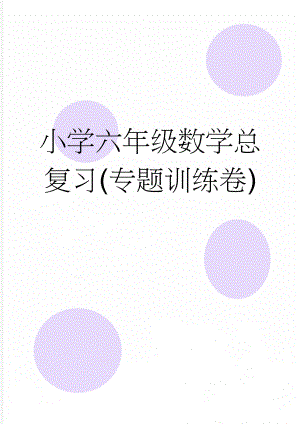 小学六年级数学总复习(专题训练卷)(13页).doc