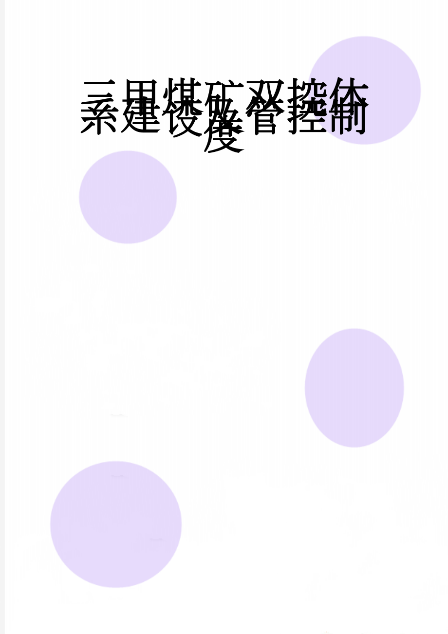 三甲煤矿双控体系建设及管控制度(13页).doc_第1页